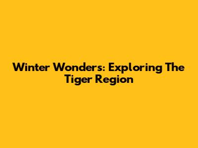 Winter Wonders: Exploring The Tiger Region