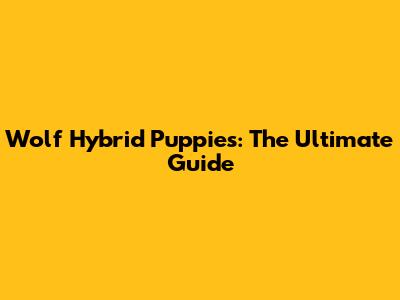 Wolf Hybrid Puppies: The Ultimate Guide