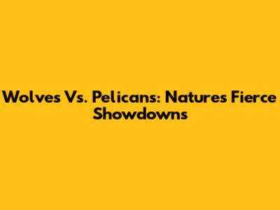 Wolves Vs. Pelicans: Nature's Fierce Showdowns