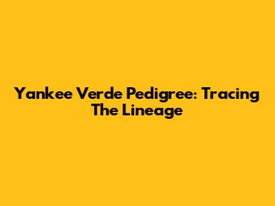 Yankee Verde Pedigree: Tracing The Lineage