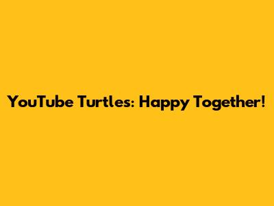 YouTube Turtles: Happy Together!