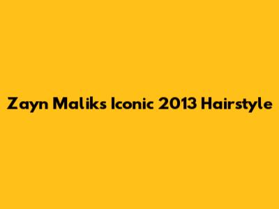 Zayn Malik's Iconic 2013 Hairstyle