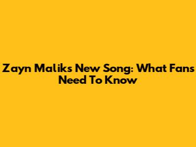 Zayn Malik's New Song: What Fans Need To Know
