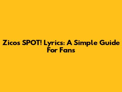 Zico's SPOT! Lyrics: A Simple Guide For Fans